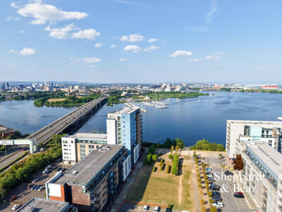 Picture 24